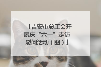 吉安市总工会开展庆“六一”走访慰问活动（图）