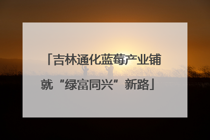 吉林通化蓝莓产业铺就“绿富同兴”新路