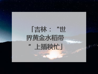 吉林：“世界黄金水稻带”上插秧忙