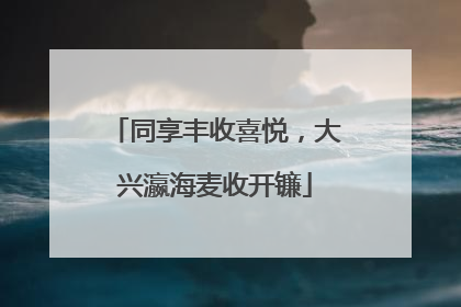 同享丰收喜悦，大兴瀛海麦收开镰