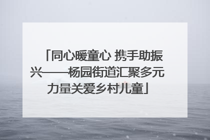 同心暖童心 携手助振兴——杨园街道汇聚多元力量关爱乡村儿童
