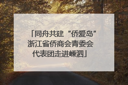 同舟共建“侨爱岛” 浙江省侨商会青委会代表团走进嵊泗