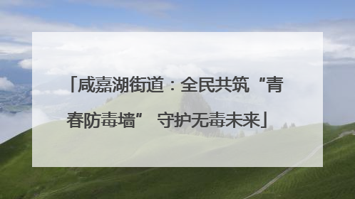 咸嘉湖街道：全民共筑“青春防毒墙” 守护无毒未来