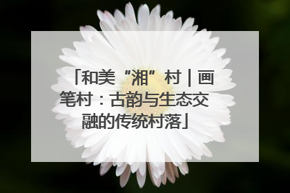和美“湘”村｜画笔村：古韵与生态交融的传统村落