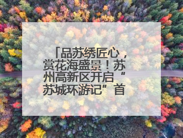 品苏绣匠心，赏花海盛景！苏州高新区开启“苏城环游记”首条非遗主题游