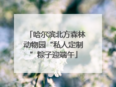 哈尔滨北方森林动物园“私人定制”粽子迎端午
