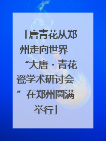 唐青花从郑州走向世界 “大唐・青花瓷学术研讨会”在郑州圆满举行