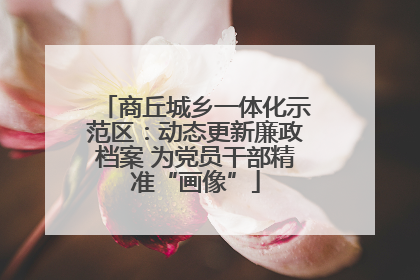 商丘城乡一体化示范区：动态更新廉政档案 为党员干部精准“画像”