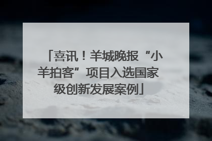 喜讯！羊城晚报“小羊拍客”项目入选国家级创新发展案例