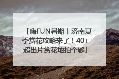 嗨FUN暑期丨济南夏季赏花攻略来了！40+超出片赏花地拍个够
