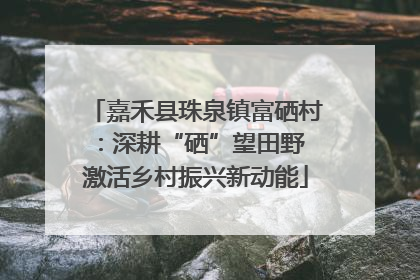 嘉禾县珠泉镇富硒村：深耕“硒”望田野 激活乡村振兴新动能