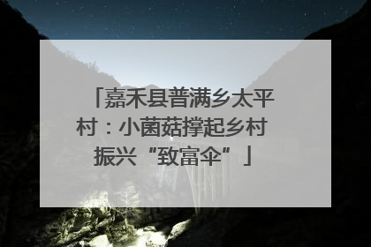 嘉禾县普满乡太平村：小菌菇撑起乡村振兴“致富伞”