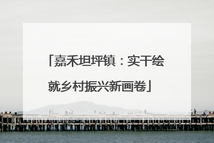 嘉禾坦坪镇：实干绘就乡村振兴新画卷