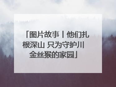 图片故事丨他们扎根深山 只为守护川金丝猴的家园