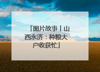 图片故事丨山西永济：种粮大户收获忙