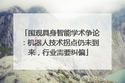 围观具身智能学术争论：机器人技术拐点仍未到来，行业需要纠偏