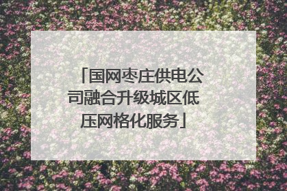 国网枣庄供电公司融合升级城区低压网格化服务