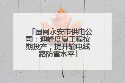 国网永安市供电公司：迎峰度夏工程按期投产，提升输电线路防雷水平