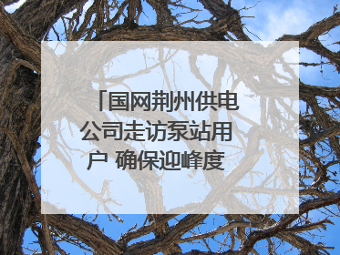 国网荆州供电公司走访泵站用户 确保迎峰度夏用电安全