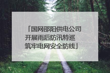 国网邵阳供电公司开展雨后防汛特巡 筑牢电网安全防线