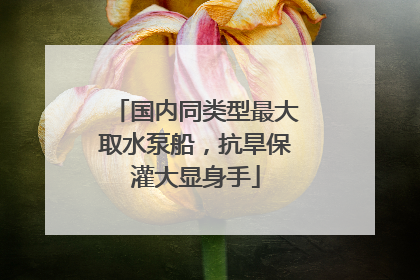 国内同类型最大取水泵船，抗旱保灌大显身手