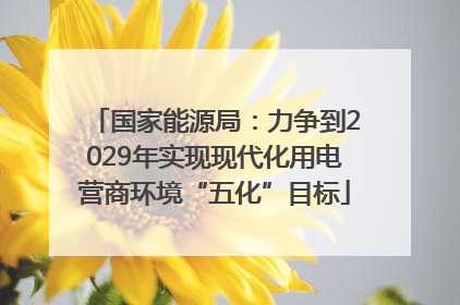 国家能源局：力争到2029年实现现代化用电营商环境“五化”目标