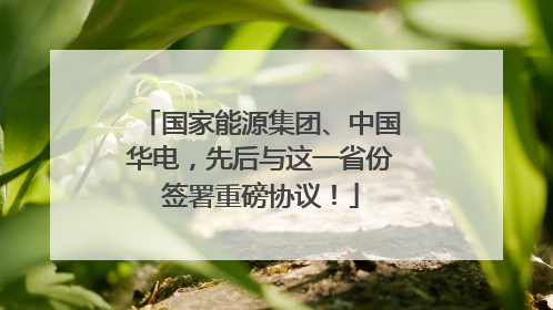 国家能源集团、中国华电，先后与这一省份签署重磅协议！