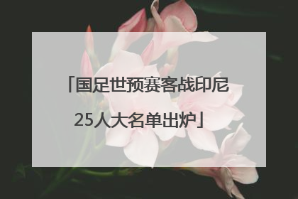 国足世预赛客战印尼25人大名单出炉
