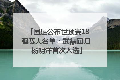 国足公布世预赛18强赛大名单：武磊回归 杨明洋首次入选