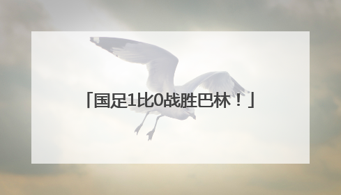 国足1比0战胜巴林！