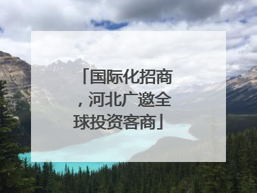 国际化招商，河北广邀全球投资客商