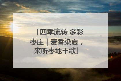 四季流转 多彩枣庄｜麦香染夏，来听枣地丰歌