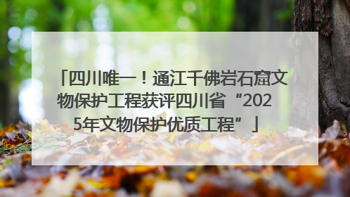 四川唯一！通江千佛岩石窟文物保护工程获评四川省“2025年文物保护优质工程”