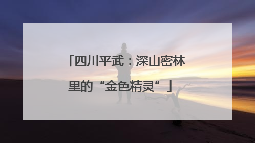 四川平武：深山密林里的“金色精灵”
