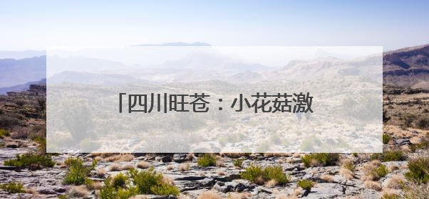 四川旺苍：小花菇激发致富大“蘑力”