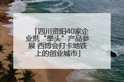 四川资阳40家企业携“拳头”产品参展 西博会打卡地铁上的创业城市