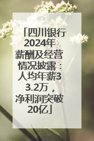 四川银行2024年薪酬及经营情况披露：人均年薪33.2万，净利润突破20亿
