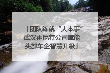 团队练就“大本事” 武汉霍尼特公司赋能头部车企智慧升级