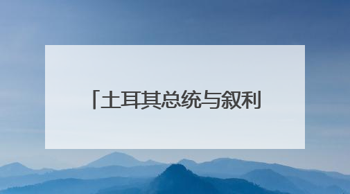 土耳其总统与叙利亚政权领导人就双边关系等举行会谈