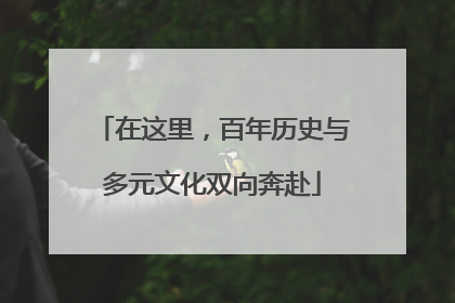 在这里，百年历史与多元文化双向奔赴