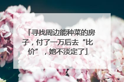 寻找周边能种菜的房子，付了一万后去“比价”，她不淡定了