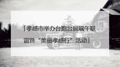 孝感市举办台胞台属端午联谊暨“美丽孝感行”活动
