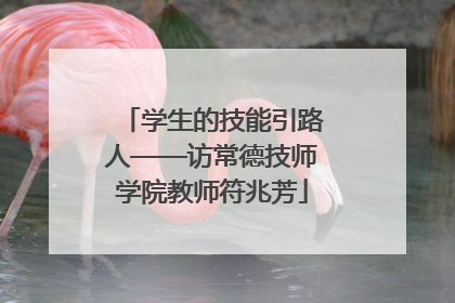 学生的技能引路人——访常德技师学院教师符兆芳