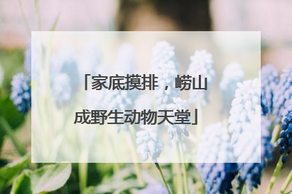 家底摸排，崂山成野生动物天堂