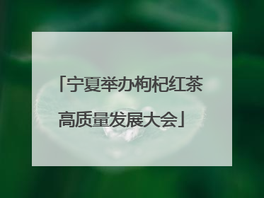 宁夏举办枸杞红茶高质量发展大会