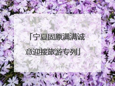 宁夏固原满满诚意迎接旅游专列