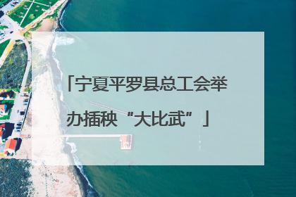 宁夏平罗县总工会举办插秧“大比武”