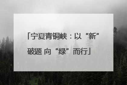 宁夏青铜峡：以“新”破题 向“绿”而行