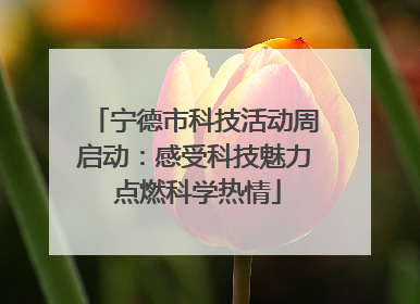 宁德市科技活动周启动：感受科技魅力 点燃科学热情