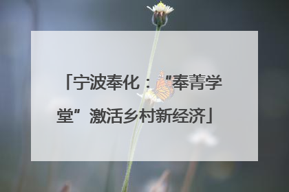 宁波奉化：“奉菁学堂”激活乡村新经济